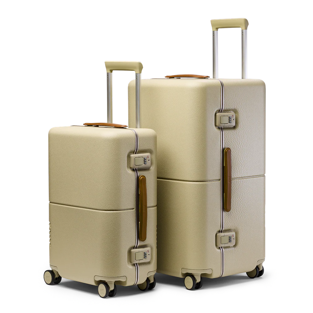 Carry On & Checked Trunk Set - Image 19