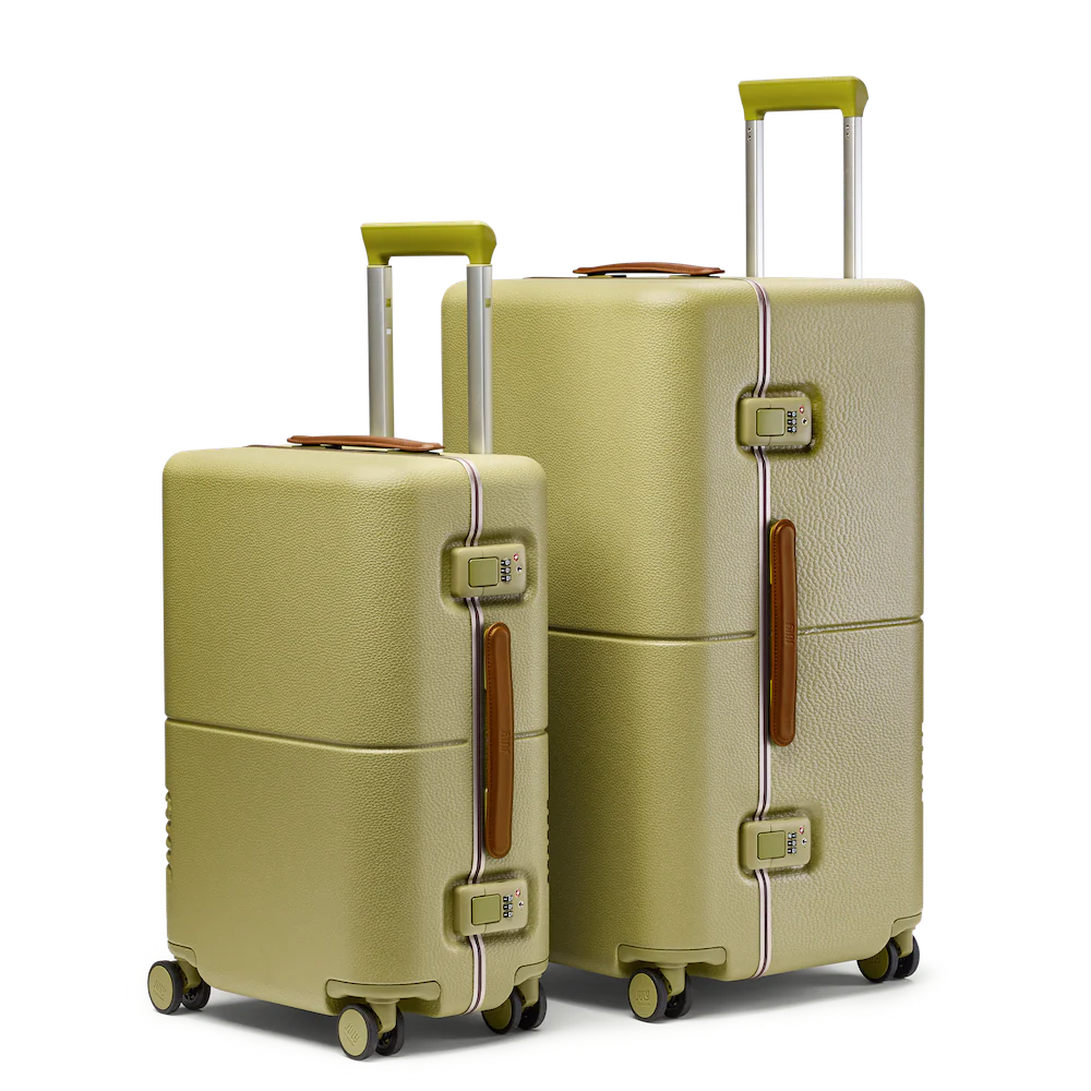 Carry On & Checked Trunk Set - Image 20