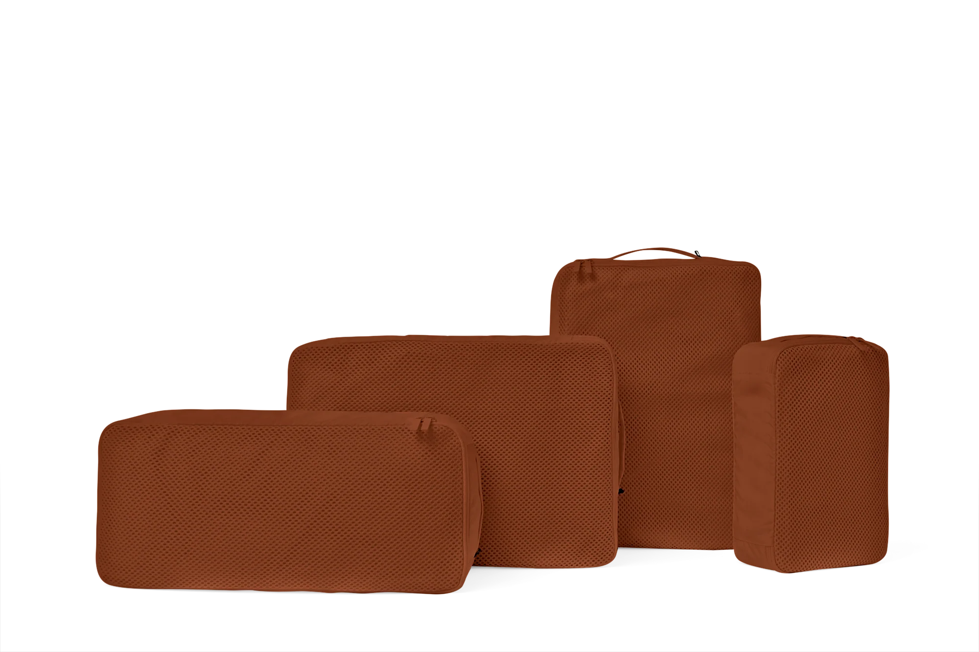 Packing Cells - Image 7